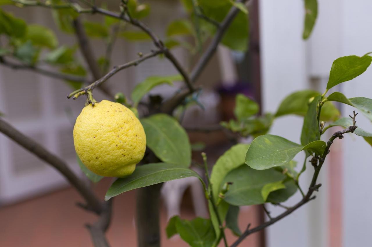 B&B Cava Rossa Monsummano Terme Zewnętrze zdjęcie