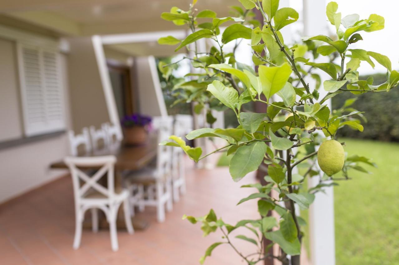 B&B Cava Rossa Monsummano Terme Zewnętrze zdjęcie